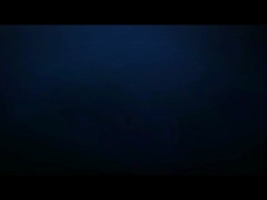 305mm 2000W Ultraschall-Lebensmittelschneider für die Kuchen- und Dessertproduktion